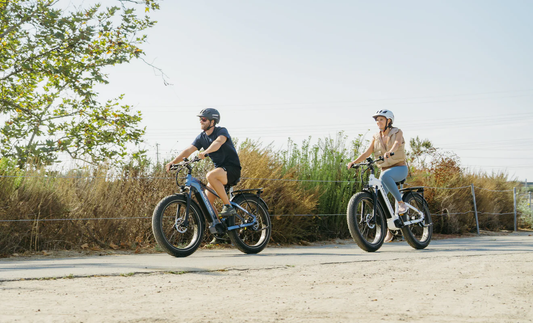 Mokwheel - elektrische mountainbike