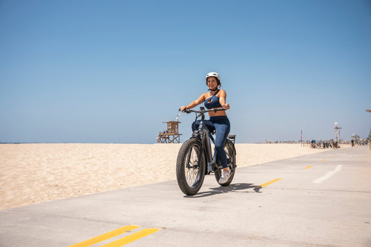 Mokwheel - ebikes met een hoog laadvermogen