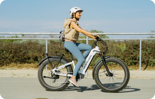 Lage Instap E-Bikes