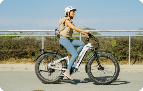 Lage Instap E-Bikes