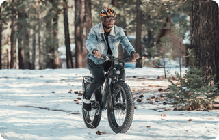 Fatbike Elektrische Fiets